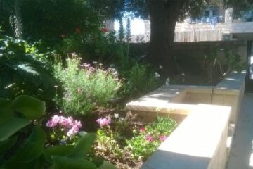 דירת שותפים בירושלים