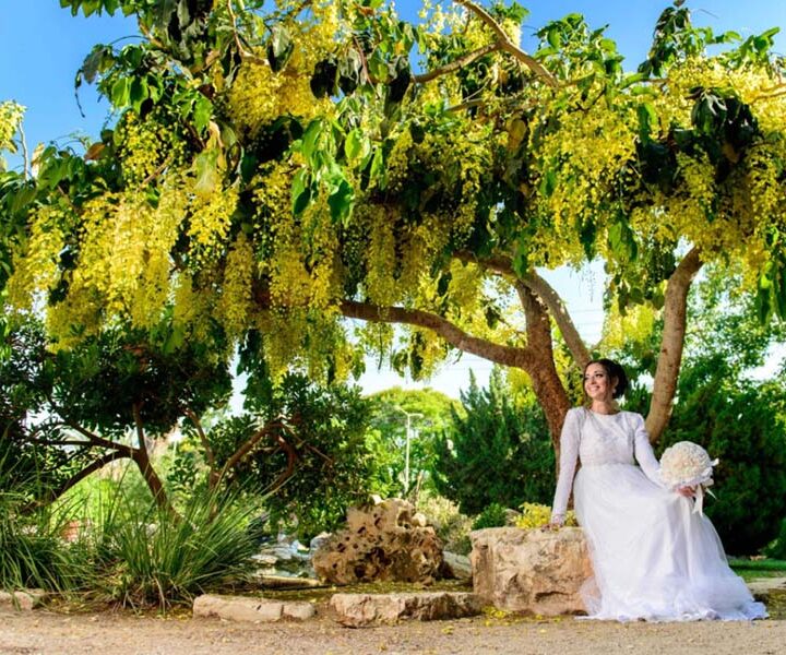 צילום אירועים באזור הדרום